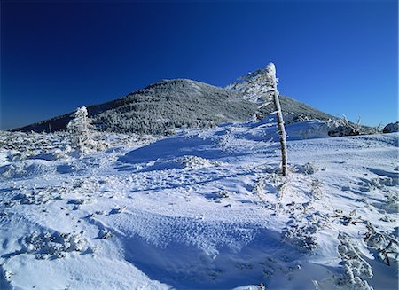 Tateshina Highland, Nagano, Japan Stock Photo - Rights-Managed, Code: 859-07149459