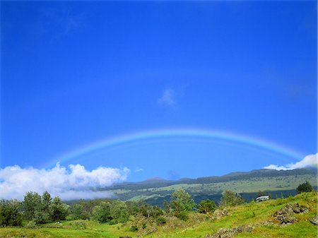 Kula, Maui Island, Hawaii Foto de stock - Con derechos protegidos, Código: 859-07149607