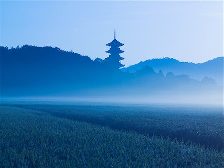 rice field silhouette - Bicchukokubun-ji, Okayama, Japan Stock Photo - Rights-Managed, Code: 859-07149640