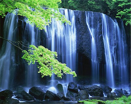 spring trees nobody - Urabandai, Fukushima, Japan Stock Photo - Rights-Managed, Code: 859-07149662