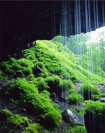 simsearch:859-07150009,k - Amidagataki Falls, Gifu, Japan Photographie de stock - Rights-Managed, Code: 859-07149981
