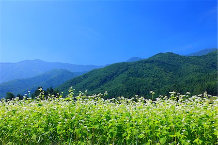 Azumino, Nagano Stock Photo - Rights-Managed, Code: 859-07150036