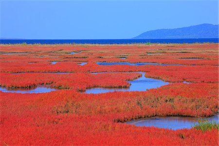 simsearch:859-07149605,k - Notoriko, Abashiri, Hokkaido, Japan Stock Photo - Rights-Managed, Code: 859-07150031