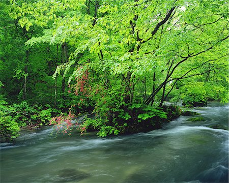 simsearch:859-07149522,k - Oirase River, Aomori, Japan Foto de stock - Con derechos protegidos, Código: 859-07150187