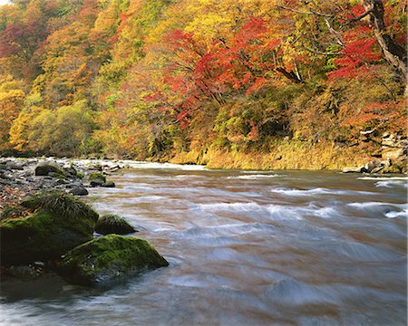 Oirase River, Aomori, Japan Photographie de stock - Rights-Managed, Code: 859-07150246