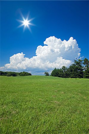 simsearch:859-07150384,k - Grassland And Sun, Wakayama, Japan Foto de stock - Con derechos protegidos, Código: 859-07150320