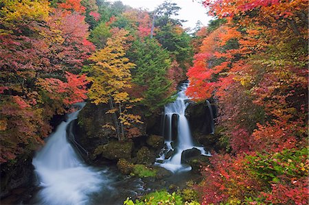 Ryuzu Falls in Autumn, Tochigi, Japan Stock Photo - Rights-Managed, Code: 859-07150342