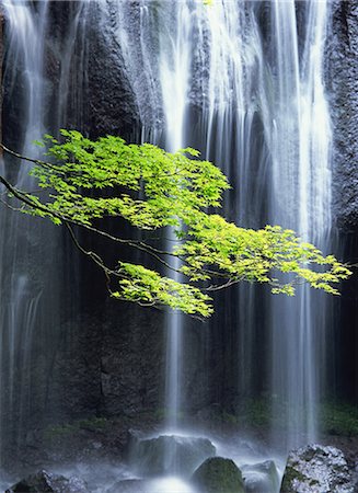 Tatsuzawafudo Falls, Fukushima, Japan Stock Photo - Rights-Managed, Code: 859-07150404