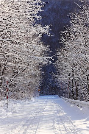 Kuzakai Highland, Iwate, Japan Stock Photo - Rights-Managed, Code: 859-07150424