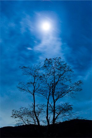 Mt. Shinnyu, Hiroshima, Japan Stock Photo - Rights-Managed, Code: 859-07150457