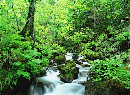 Shiretoko National Park, Hokkaido, Japan Stock Photo - Rights-Managed, Code: 859-07150507