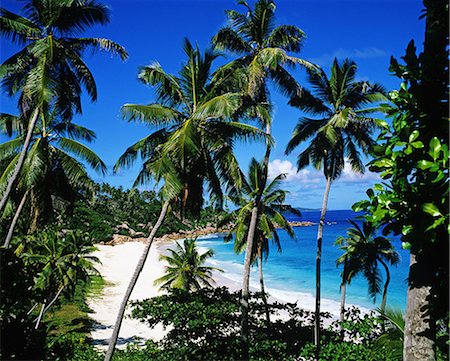 seychelles and beach - Seychelles Stock Photo - Rights-Managed, Code: 859-07284155