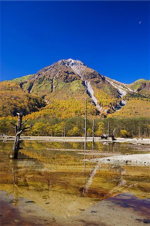 simsearch:859-07284265,k - Mt. Yake, Nagano, Japan Foto de stock - Con derechos protegidos, Código: 859-07284240