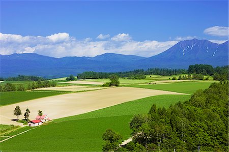 simsearch:859-07150350,k - Biei, Hokkaido, Japan Photographie de stock - Rights-Managed, Code: 859-07282995