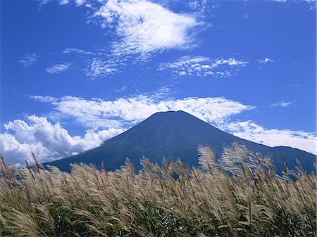 simsearch:859-07283072,k - Nashigahara, Yamanashi, Japan Foto de stock - Con derechos protegidos, Código: 859-07283097