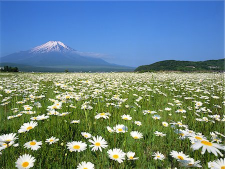 Mt. Fuji, Yamanashi, Japan Foto de stock - Con derechos protegidos, Código: 859-07283112