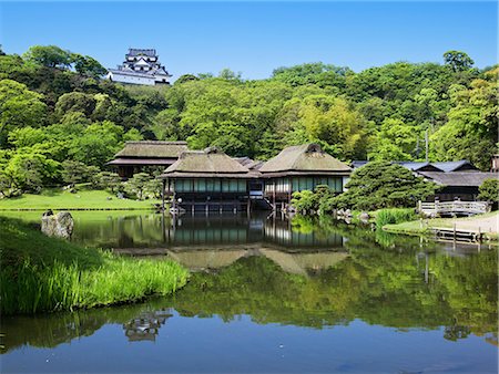 simsearch:859-07284362,k - Genkyuen And Hikone Castle, Hyogo, Japan Foto de stock - Con derechos protegidos, Código: 859-07283172