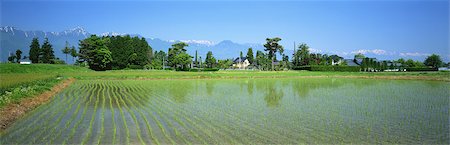 North Alps, Nagano, Japan Photographie de stock - Rights-Managed, Code: 859-07283424