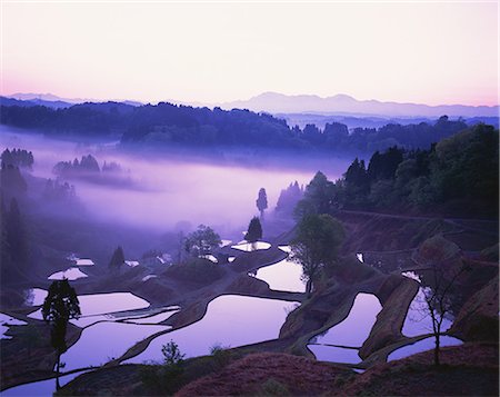 Terrace Of Gamo, Niigata, Japan Stock Photo - Rights-Managed, Code: 859-07283431