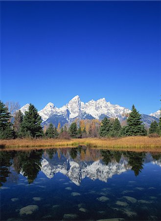 simsearch:859-07283355,k - Grand Teton National Park, America Foto de stock - Con derechos protegidos, Código: 859-07283445