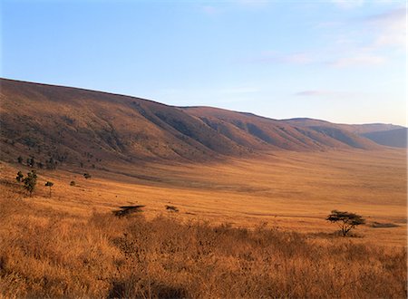 plaines - Ngorongoro Conservation Area, Tanzania Photographie de stock - Rights-Managed, Code: 859-07283495