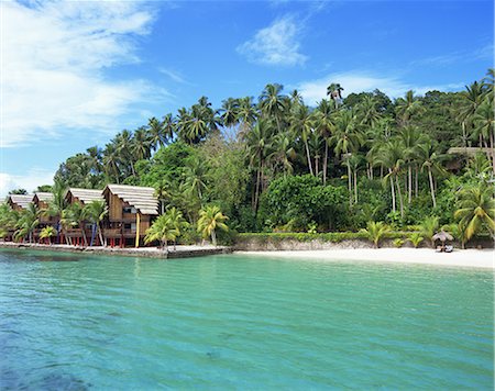 palm trees blue sky - Pearl Farm Beach Resort, Philippine Foto de stock - Con derechos protegidos, Código: 859-07283508