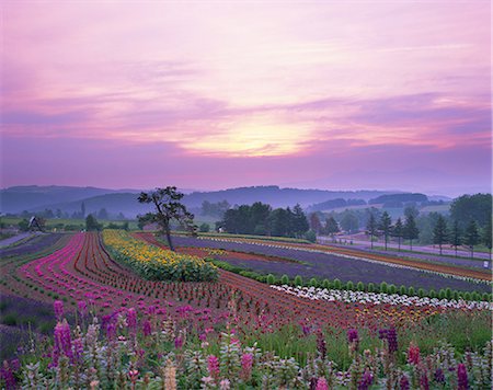 Zerubunooka, Hokkaido, Japan Stock Photo - Rights-Managed, Code: 859-07283600