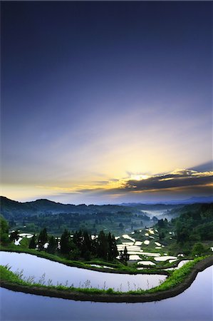 paddy field sunset - Tokamachi, Niigata, Japan Stock Photo - Rights-Managed, Code: 859-07283635