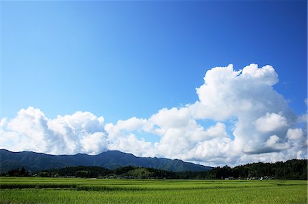 simsearch:859-07283653,k - Thunderhead Cloud, Gosen, Niigata, Japan Foto de stock - Con derechos protegidos, Código: 859-07283633