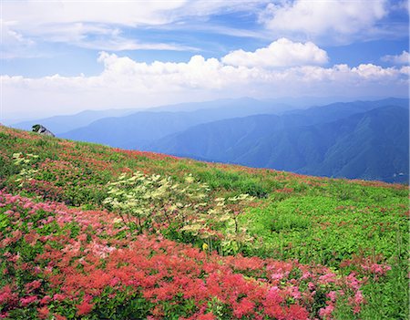 simsearch:859-07284339,k - Mt. Ibuki, Shiga, Japan Foto de stock - Con derechos protegidos, Código: 859-07283972