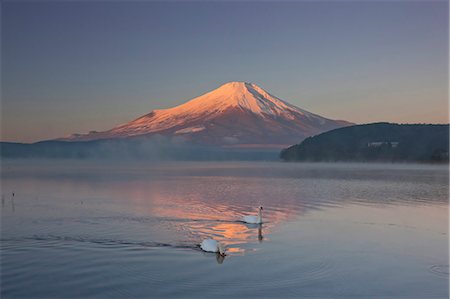 foggy mountain lake - Swans, Japan Stock Photo - Rights-Managed, Code: 859-07310848