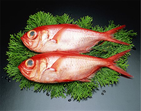 simsearch:859-06469972,k - Red Snapper Stock Photo - Rights-Managed, Code: 859-07356210