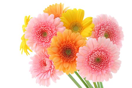 red centre - Flower arrangement Photographie de stock - Rights-Managed, Code: 859-07356476