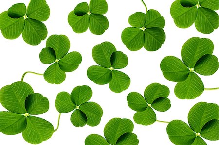 shamrocks - Clover Stock Photo - Rights-Managed, Code: 859-07356479