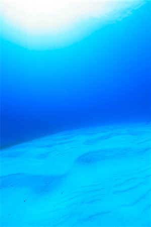 simsearch:649-06844887,k - Underwater Stock Photo - Rights-Managed, Code: 859-07356559