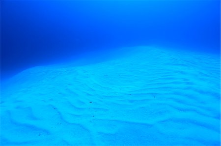 simsearch:859-06710965,k - Underwater Photographie de stock - Rights-Managed, Code: 859-07356560