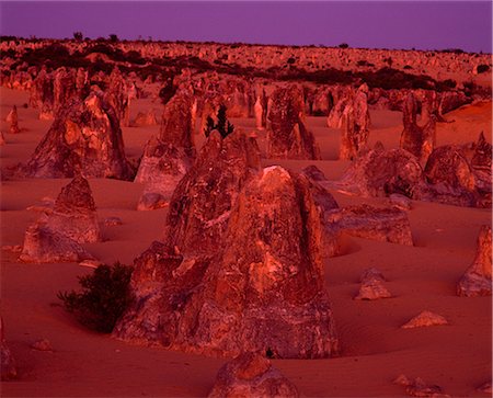 pinnacles desert - Pinnacles, Nambung National Park, Western Australia, Australia Foto de stock - Con derechos protegidos, Código: 859-07441444
