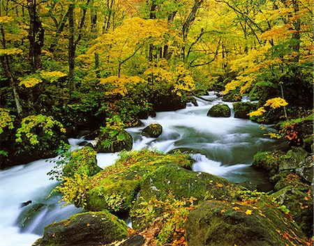 Oirase mountain stream, Aomori Prefecture Stock Photo - Rights-Managed, Code: 859-07441530