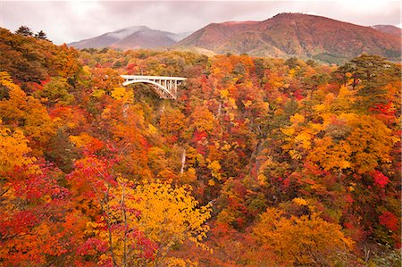 red valley - Autumn colors Photographie de stock - Rights-Managed, Code: 859-07441559