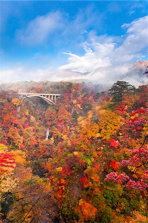 Autumn colors Fotografie stock - Rights-Managed, Codice: 859-07441560