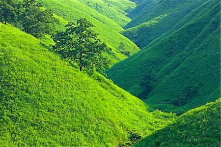 Kumamoto Prefecture, Japan Photographie de stock - Rights-Managed, Code: 859-07441573