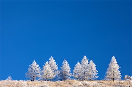 simsearch:859-07783547,k - Kirigamine Plateau, Nagano Prefecture, Japan Foto de stock - Con derechos protegidos, Código: 859-07441590