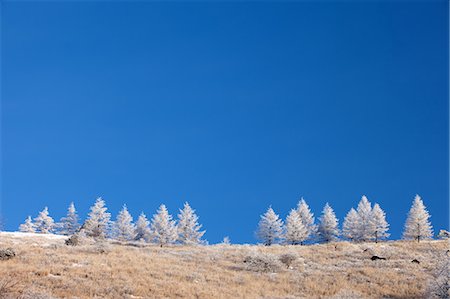 simsearch:859-07783547,k - Kirigamine Plateau, Nagano Prefecture, Japan Foto de stock - Con derechos protegidos, Código: 859-07441591