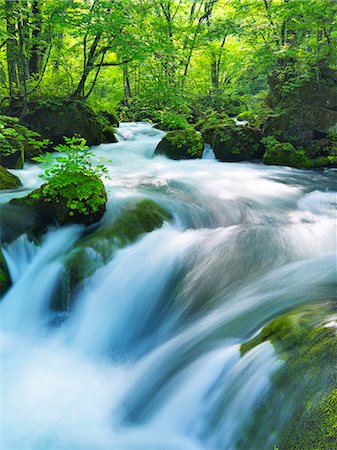 simsearch:859-07442165,k - Oirase mountain stream, Aomori Prefecture Foto de stock - Con derechos protegidos, Código: 859-07441601