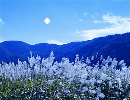 pleine lune - Fukushima Prefecture, Japan Photographie de stock - Rights-Managed, Code: 859-07441637