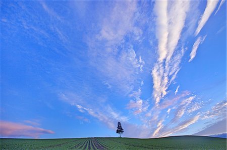 dirt horizon - Biei, Hokkaido Stock Photo - Rights-Managed, Code: 859-07441724