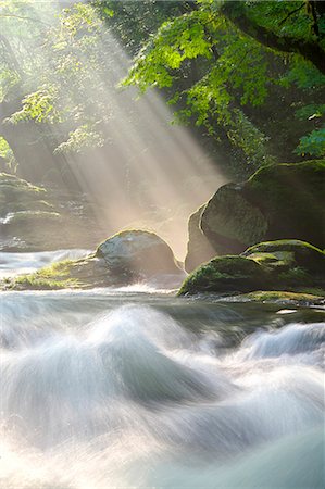 stone forest - Kumamoto Prefecture, Japan Stock Photo - Rights-Managed, Code: 859-07441785