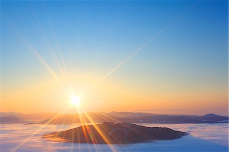 sunrise tree fog - Hokkaido, Japan Stock Photo - Rights-Managed, Code: 859-07441804