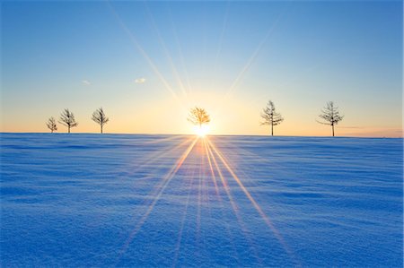 simsearch:859-07566220,k - Hokkaido, Japan Foto de stock - Con derechos protegidos, Código: 859-07441807