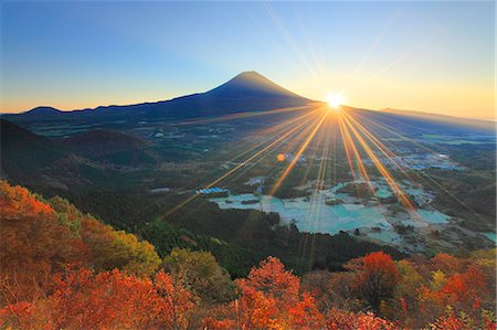 sun leaf - Autumn colors Stock Photo - Rights-Managed, Code: 859-07441949